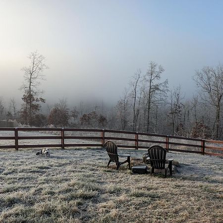 Great Little Guest Suite With Private Entry & Deck! Pet Friendly & 30 Mins To Nashville! Ashland City Exterior foto