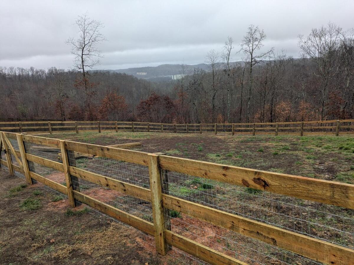 Great Little Guest Suite With Private Entry & Deck! Pet Friendly & 30 Mins To Nashville! Ashland City Exterior foto